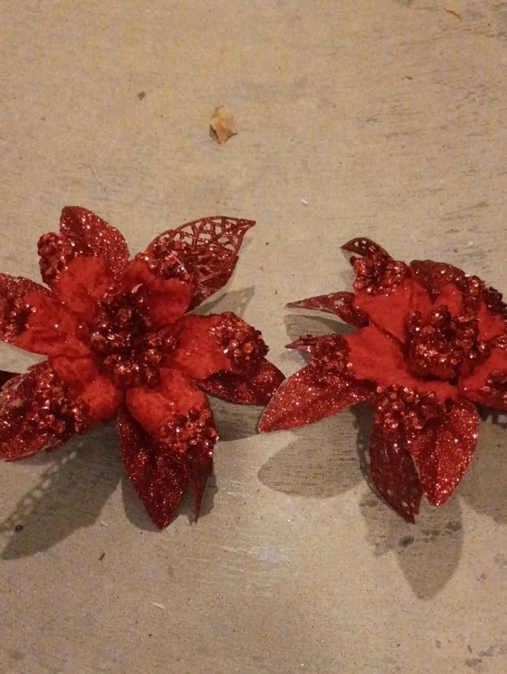 Christmas Flowers